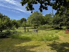 Beehives in a flowering orchard beneath a blue sky.