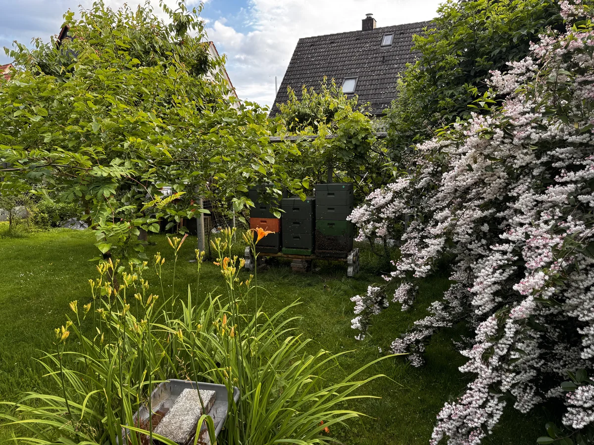 Bienenstöcke zwischen blühenden Gehölzen und Stauden in einem Garten.