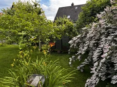 Beehives among flowering shrubs and perennials in a garden.