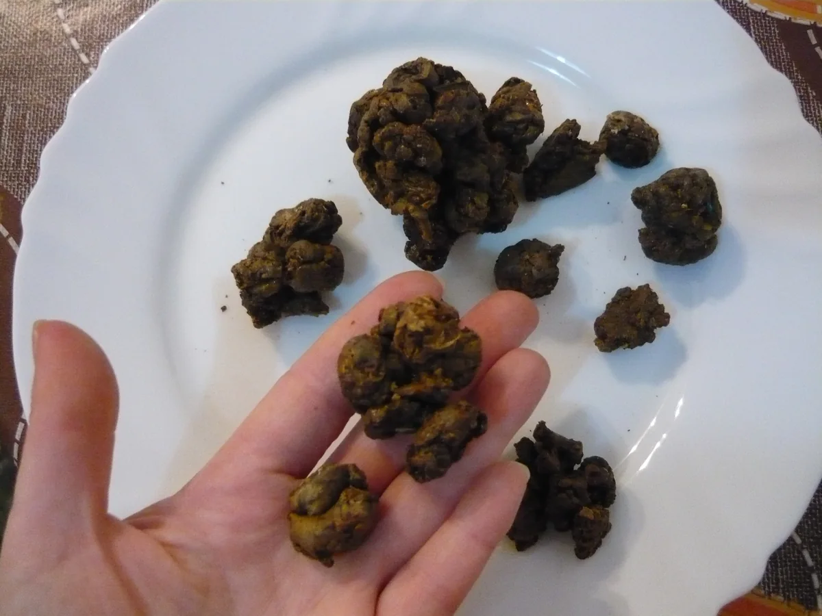Braune und bernsteinfarbene Stücke von Propolis.
