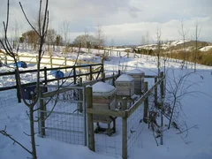 Several beehives in a snow-covered landscape.